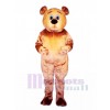 Jolly Bear Mascot Costume