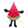 Wassermelone Slice Maskottchen Kostüme Obst