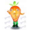 Orange Karotte Gemüse Maskottchen Kostüm Lebensmittel Gemüse