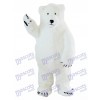 Weißes Eisbär-Maskottchen-Kostüm-Tier