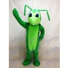 Grasshopper Maskottchen Kostüm Insekt