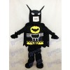 Lego Batman Super Hero Maskottchen Kostüm