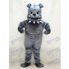 Neues graues Bulldog Maskottchen Kostüm Tier