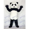 Panda Erwachsener Maskottchen Kostüm Tier Zoo
