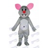 Graues Maus Maskottchen Kostüm Tier