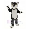 Langhaarig Grau Wolf Maskottchen Kostüm Tier