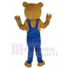 Teddybär maskottchen kostüm