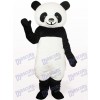 Schwarzes Panda Tier Maskottchen Kostüm