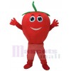 Nette rote Tomate mit Lächeln Maskottchen Kostüm