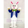 Komisch Ostern Hase mit Blau Passen Maskottchen Kostüm Schule
