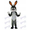 Ostern Bugs Bunny Maskottchen Adult Kostüm Tier