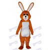 Ostern Lovely Brown Kaninchen Adult Maskottchen Kostüm Tier