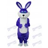 Ostern lila Kaninchen Maskottchen Erwachsene Kostüm Tier