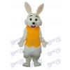 Ostern Gelb Weste Kaninchen Maskottchen Erwachsene Kostüm Tier