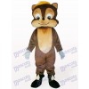 Lovely Squirrel Tier Maskottchen Kostüm für Erwachsene