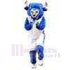 Hochschule Blue Bull Maskottchen Kostüme