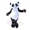 Süß nett Panda Maskottchen Kostüme Billig