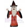 Merlin Wizard Maskottchen Kostüm Karikatur