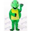 Grüne Schildkröte Tier Maskottchen Kostüm