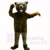 Grizzly Bär Maskottchen Kostüme Erwachsene