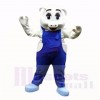 Sport Schwein mit Blau Overall Maskottchen Kostüme Schule