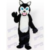 Little Black Wolf Maskottchen Kostüm für Erwachsene A aktualisiert
