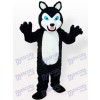 Kleiner schwarzer Wolf mit grinsenden Zähnen Tier Maskottchen Kostüm