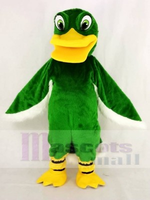 Komisch Grün Ente Maskottchen Kostüm Schule