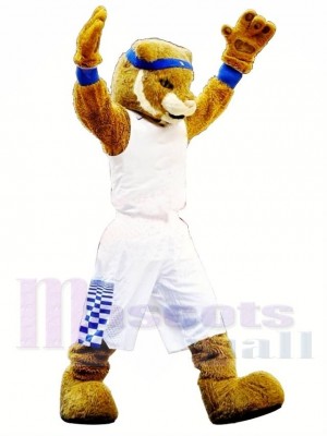 Hochschulsport Wildkatze Maskottchen Kostüm Kostenloser Versand