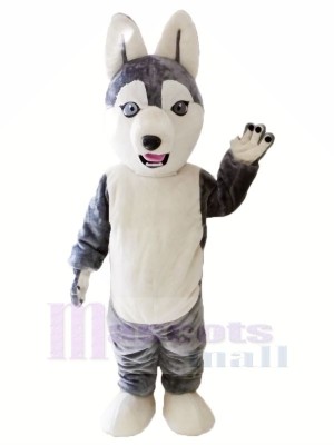 Süß Grau Heiser Hund Maskottchen Kostüme Tier