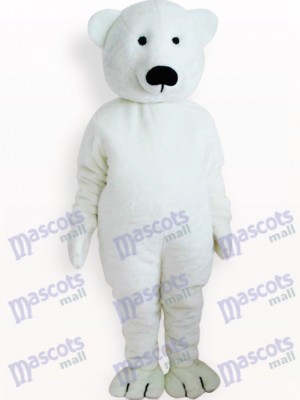 Weißer Bär Tier Erwachsener Maskottchen Kostüm
