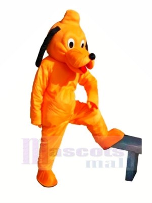 Süß Orange Hund Maskottchen Kostüme Billig