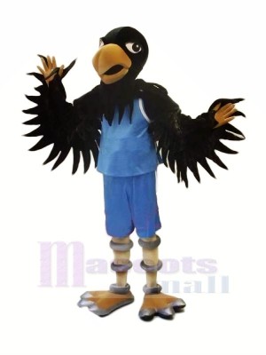 Schwarz Falke mit Blau Passen Maskottchen Kostüme Tier