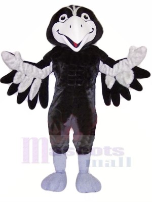 Schwarz und Grau Falke Maskottchen Kostüme Tier