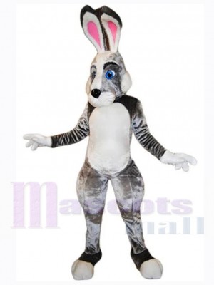 Graues und weißes Osterhasen-Kaninchen Maskottchen-Kostüm Tier
