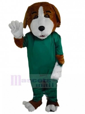 Braun-weißes Beagle-Hundemaskottchen-Kostüm mit OP-Kleid Tier