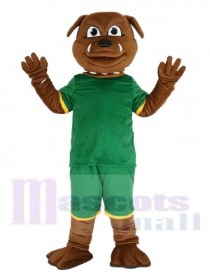 Braun Bulldogge im Grün Sweatshirt Maskottchen Kostüm