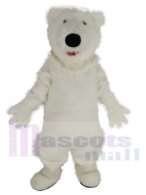 Polar Bär maskottchen kostüm