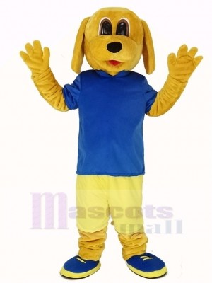 Golden Hund im Blau T-Shirt Maskottchen Kostüm Tier