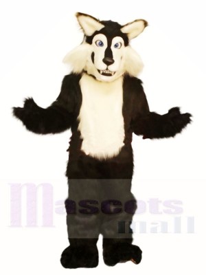 Schwarzweiss-Wolf Maskottchen Kostüm Kostenloser Versand