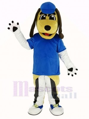Beagle Hund mit Blau Hut Maskottchen Kostüm Tier