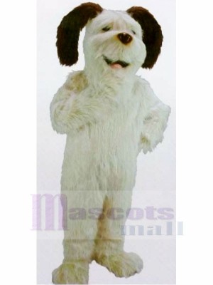 Lustig Weiß Zottelig Hund Maskottchen Kostüme Karikatur