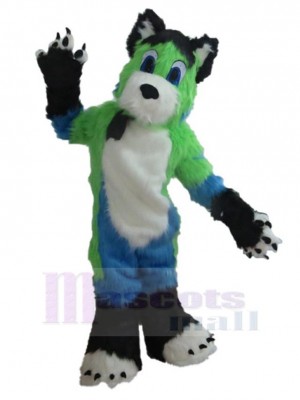 Langes Fell Grüner und weißer und blauer Hund Maskottchen Kostüm Tier