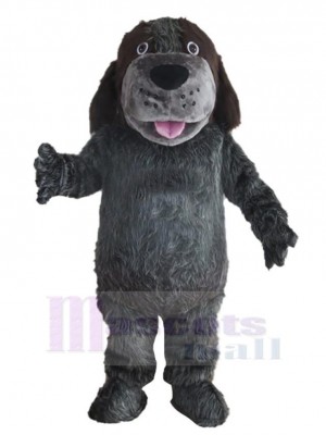 Schönes Dunkelgrau  Husky Hund Maskottchen Kostüm Tier