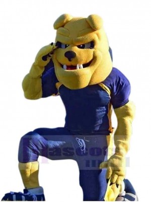 Powersport-Bulldogge Maskottchen Kostüm Tier im blauen Mantel