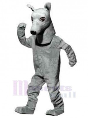 Intelligenter Windhund-Hund Maskottchen Kostüm Tier