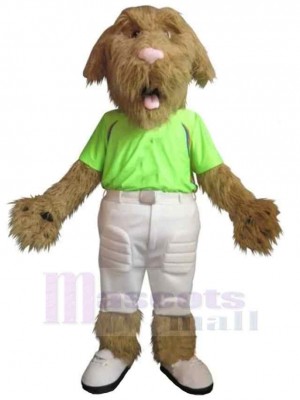 Plüsch Solar Hund Maskottchen Kostüm Tier im grünen T-Shirt