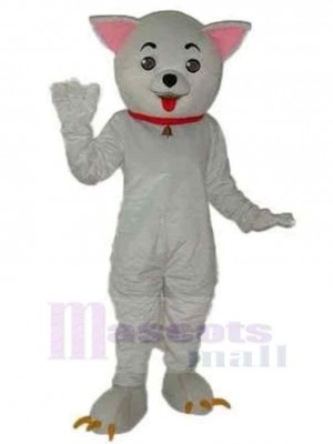 Kleiner weißer Hund Maskottchen Kostüm Tier