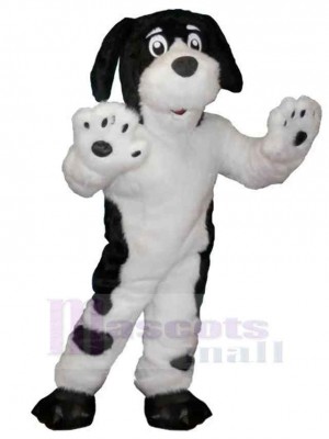 Weißer Hund mit schwarzen Flecken Maskottchen Kostüm Tier
