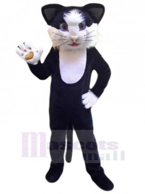 Coole schwarz-weiße Katze Maskottchen Kostüm Tier